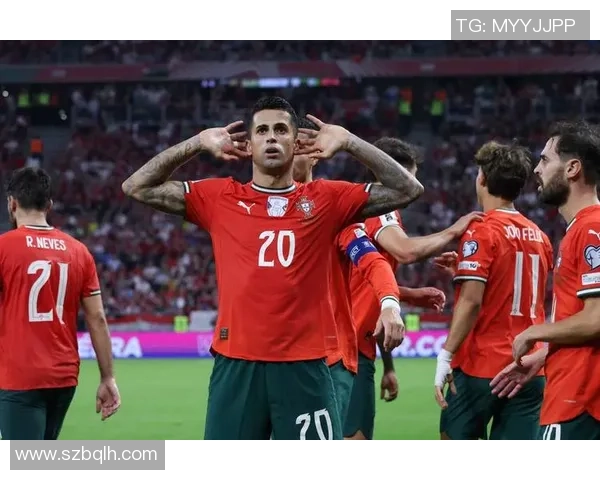 葡萄牙足球队当家球星的成长历程与辉煌成就解析