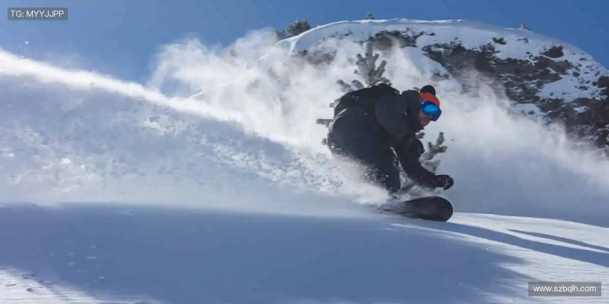 高清画质,畅享赛事!🎥🏒