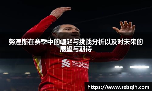 努涅斯在赛季中的崛起与挑战分析以及对未来的展望与期待